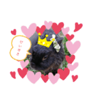 くろうさぎさん（個別スタンプ：7）