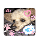 まろん09.26（個別スタンプ：1）