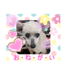 まろん09.26（個別スタンプ：3）