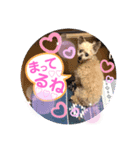 まろん09.26（個別スタンプ：7）