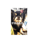ヴィッツの日常会話（個別スタンプ：10）