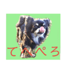 ヴィッツの日常会話（個別スタンプ：11）