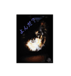 ヴィッツの日常会話（個別スタンプ：19）