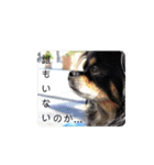 ヴィッツの日常会話（個別スタンプ：21）