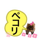 ポメラニアン姫ちゃん ⑧（個別スタンプ：16）