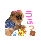 ポメラニアン姫ちゃん ⑧（個別スタンプ：18）