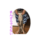 ほのぼのひよちゃん（個別スタンプ：8）