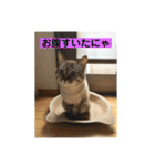 ほのぼのひよちゃん（個別スタンプ：9）