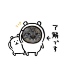 ほのぼのひよちゃん（個別スタンプ：24）
