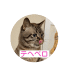 ほのぼのひよちゃん（個別スタンプ：32）
