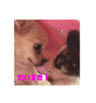 可愛すぎるやつ（個別スタンプ：1）