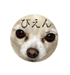 可愛すぎるやつ（個別スタンプ：2）
