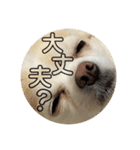 可愛すぎるやつ（個別スタンプ：4）