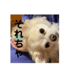 可愛すぎるやつ（個別スタンプ：6）