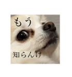 可愛すぎるやつ（個別スタンプ：7）