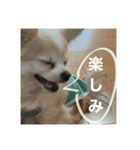可愛すぎるやつ（個別スタンプ：8）