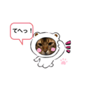 apo.leon（個別スタンプ：3）