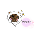 apo.leon（個別スタンプ：4）
