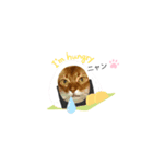 apo.leon（個別スタンプ：5）