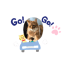 apo.leon（個別スタンプ：8）