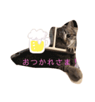 うちのハムちゃんと動物だよ（個別スタンプ：6）