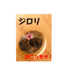 うちのハムちゃんと動物だよ（個別スタンプ：14）
