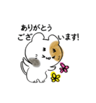 まゆげねこ 敬語です。（個別スタンプ：2）