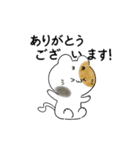 まゆげねこ 敬語です。（個別スタンプ：3）