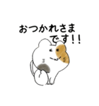 まゆげねこ 敬語です。（個別スタンプ：6）