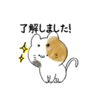 まゆげねこ 敬語です。（個別スタンプ：10）