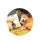 あやこなスタンプ②（個別スタンプ：1）