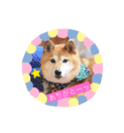 あやこなスタンプ②（個別スタンプ：2）