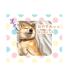 あやこなスタンプ②（個別スタンプ：6）