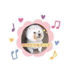 あやこなスタンプ②（個別スタンプ：7）