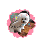 あやこなスタンプ②（個別スタンプ：9）