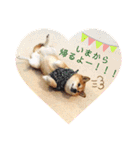 あやこなスタンプ②（個別スタンプ：10）