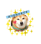 あやこなスタンプ②（個別スタンプ：11）