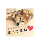 あやこなスタンプ②（個別スタンプ：13）