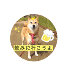あやこなスタンプ②（個別スタンプ：14）