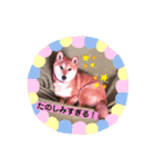あやこなスタンプ②（個別スタンプ：15）