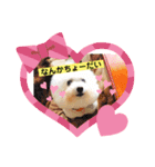 あやこなスタンプ②（個別スタンプ：16）