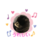 黒ポメのポンタくん6（個別スタンプ：18）