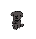 黒いもふもふ(トイプードル)（個別スタンプ：2）