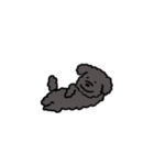 黒いもふもふ(トイプードル)（個別スタンプ：4）