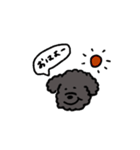 黒いもふもふ(トイプードル)（個別スタンプ：8）