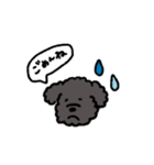 黒いもふもふ(トイプードル)（個別スタンプ：9）
