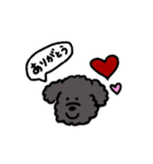 黒いもふもふ(トイプードル)（個別スタンプ：10）