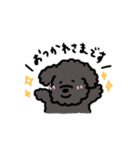 黒いもふもふ(トイプードル)（個別スタンプ：13）