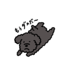黒いもふもふ(トイプードル)（個別スタンプ：15）