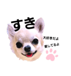 キキたんず5（個別スタンプ：13）